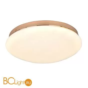 Потолочный светильник Favourite Ledante 2465-2C - Фото 0