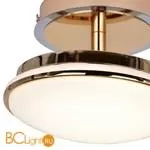 Настенный светильник Favourite Ledante 2473-1W - Фото 1