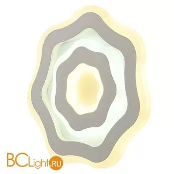 Настенный светильник Favourite Ledolution 2287-1W