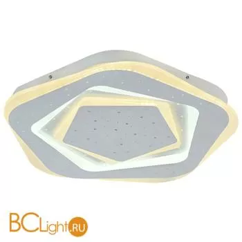 Потолочный светильник Favourite Ledolution 2281-5C