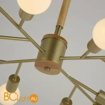 Потолочная люстра Favourite Liber 2587-12P - Фото 1