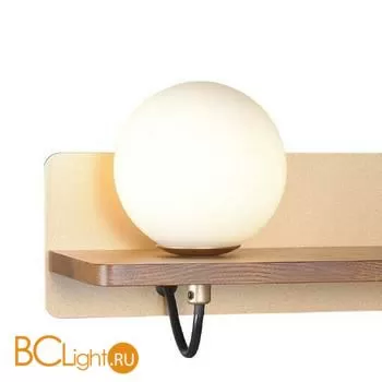 Настенный светильник Favourite Lunaris 2893-1W - Фото 1