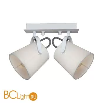 Потолочный светильник Favourite Munich 2176-2U