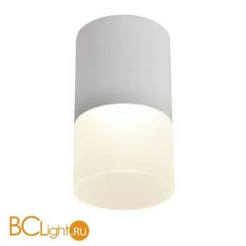 Спот Favourite Naram 3069-1C