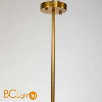 Люстра Favourite Nimbus 2996-10P - Фото 2