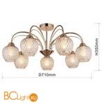 Подвесная люстра на штанге Favourite Olimp 2541-7U - Схема