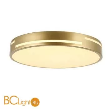 Потолочный светильник Favourite Pall 2745-2C