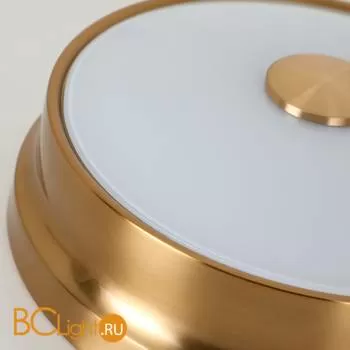 Потолочный светильник Favourite Pannikin 2375-2C - Фото 0