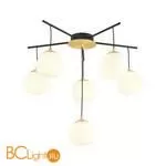 Люстра Favourite Paramount 3047-6P