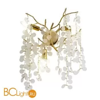 Настенный светильник Favourite Parra 4161-3W