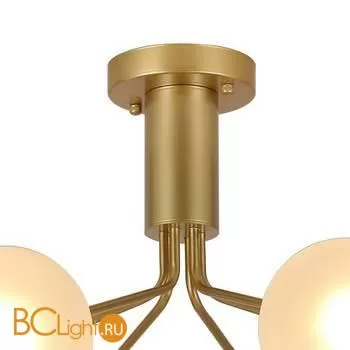 Люстра Favourite Pax 2631-6U - Фото 2