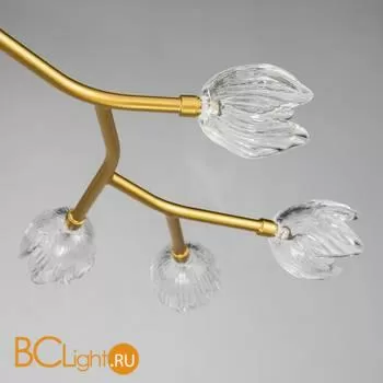 Люстра Favourite Pelerina 2622-16U - Фото 5