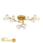 Люстра Favourite Pelerina 2622-12U