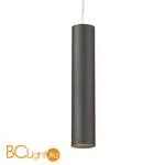 Подвесной светильник Favourite Pendenti 1963-1P