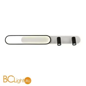 Потолочный светильник Favourite Planar 4076-2C