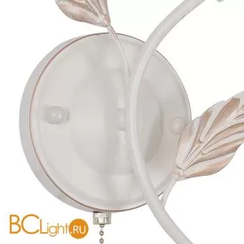 Бра Favourite Plato 2444-1W - Фото 0