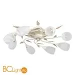 Потолочная люстра Favourite Plato 2444-8U