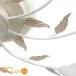 Потолочная люстра Favourite Plato 2444-5U - Фото 1