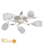 Потолочная люстра Favourite Plato 2444-5U