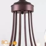 Люстра Favourite Plini 2590-12P - Фото 0