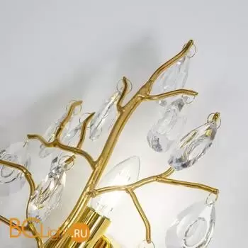 Настенный светильник Favourite Pluvia 4162-1W - Фото 2