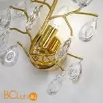 Настенный светильник Favourite Pluvia 4162-1W - Фото 1