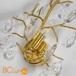 Настенный светильник Favourite Pluvia 4162-1W - Фото 3