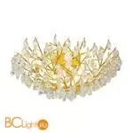 Настенный светильник Favourite Pluvia 4162-10C