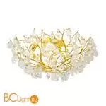 Настенный светильник Favourite Pluvia 4162-8C