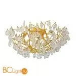 Настенный светильник Favourite Pluvia 4162-8C - Фото 0