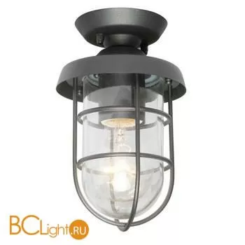 Уличный потолочный светильник Favourite Pointer 3021-1P
