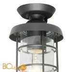 Уличный потолочный светильник Favourite Pointer 3021-1P - Фото 0