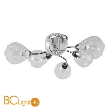 Потолочная люстра Favourite Polar 2340-6U