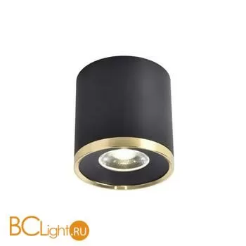 Спот Favourite Prakash 3086-2C