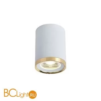 Спот Favourite Prakash 3085-1C