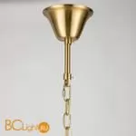 Подвесной светильник Favourite Prestige 2973-24P - Фото 1