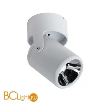 Спот (точечный светильник) Favourite Projector 1980-1U