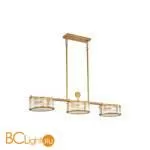 Подвесной светильник Favourite Radiales 3099-6P