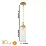 Подвесной светильник Favourite Radiales 3099-1P - Фото 1