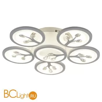 Потолочный светильник Favourite Ramus 2390-6U
