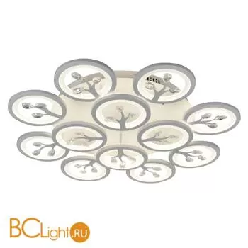 Потолочный светильник Favourite Ramus 2390-12U