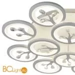 Потолочный светильник Favourite Ramus 2390-12U - Фото 2