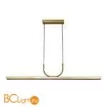 Подвесной светильник Favourite Raya 4097-2P - Фото 0