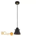 Подвесной светильник Favourite Rigor 2844-1P