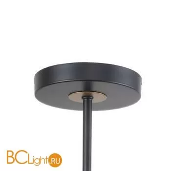 Люстра Favourite Rigor 2844-8P - Фото 1