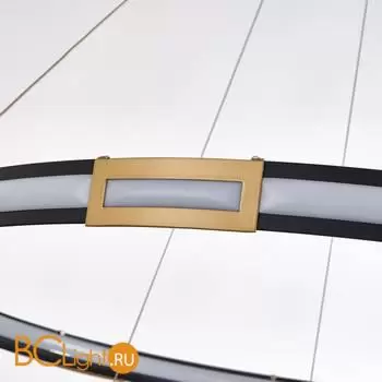 Подвесной светильник Favourite Rota 4131-2P - Фото 5