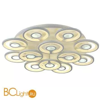 Потолочный светильник Favourite Roundels 2292-12U