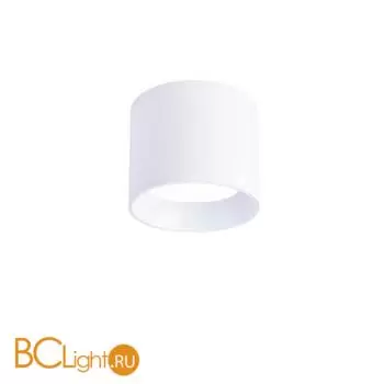 Потолочный светильник Favourite Rout 4209-1C