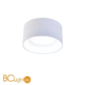 Потолочный светильник Favourite Rout 4211-1C