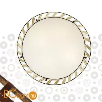 Настенно-потолочный светильник Favourite Rustica 1100-4C